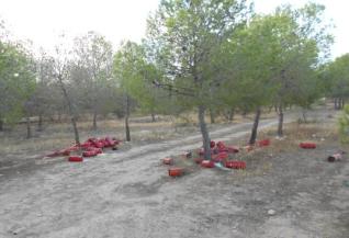 tiran extintores en pinar extintores en un pinar